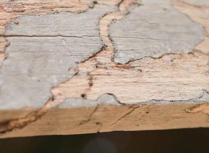 Madera exterior deteriorada para rehabilitación y tratamiento